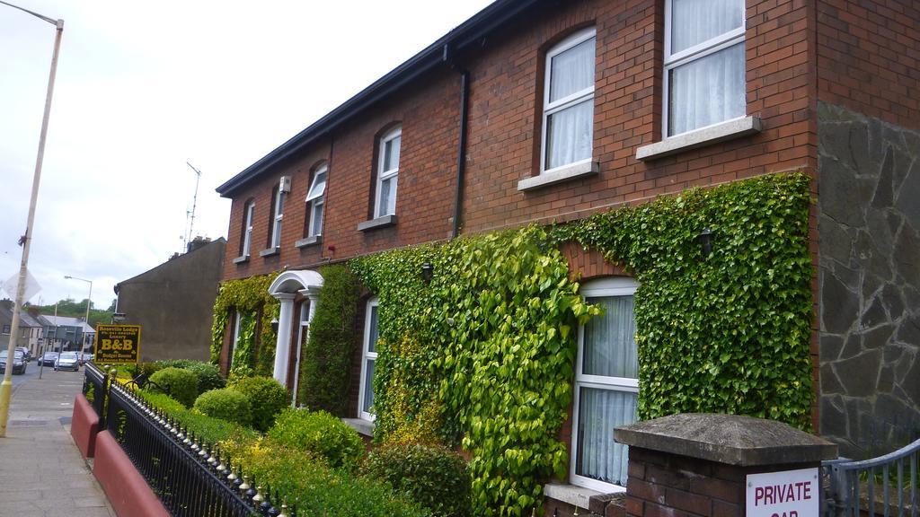 Roseville Lodge B&B Drogheda Exterior photo